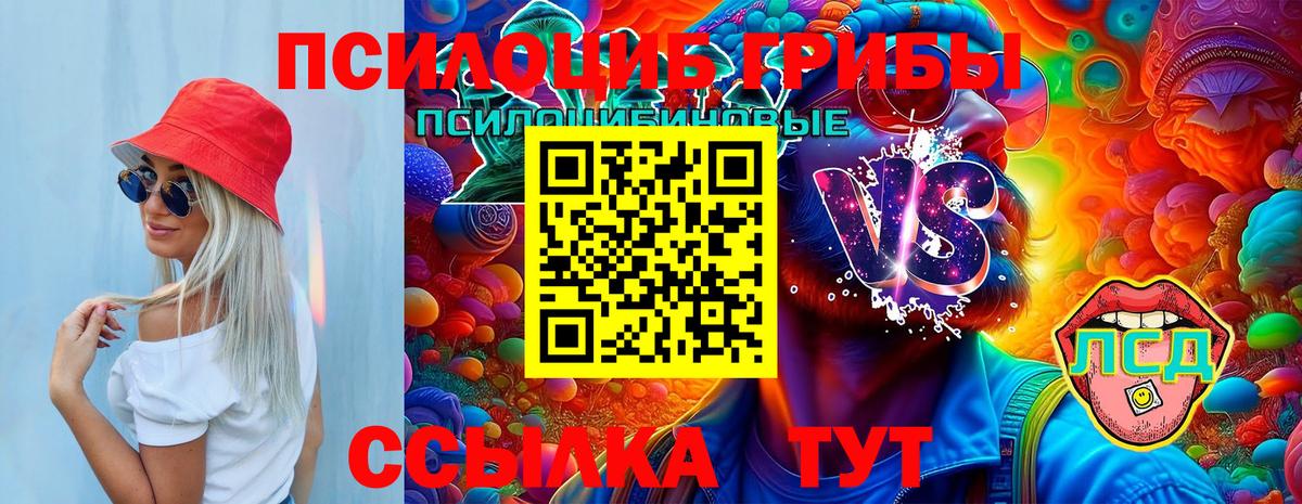 Псилоцибиновые грибы Psilocybine cubensis  Вход с VPN  Кириши 